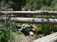 YosemiteCreek 007 : YosemiteCreek